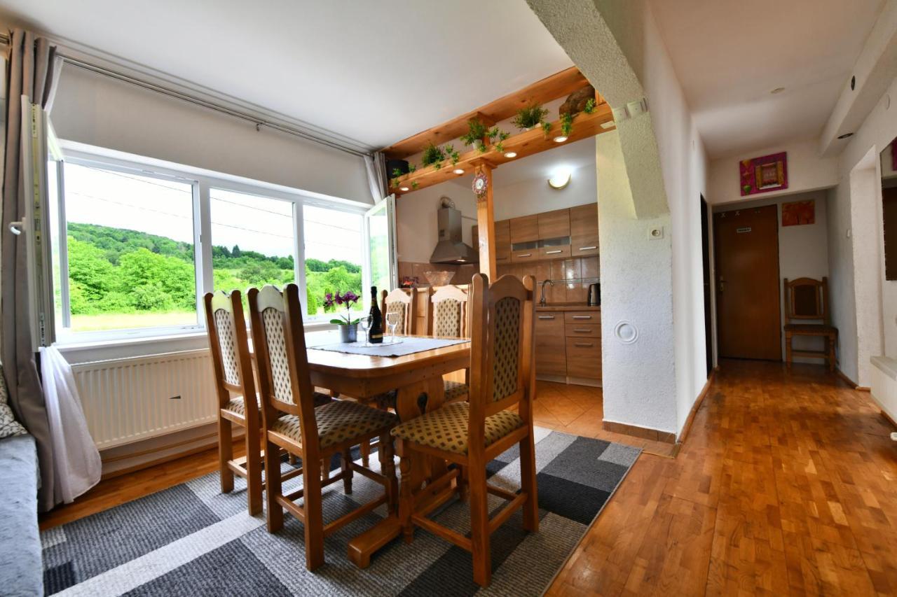 רקוביצה Apartment Marija Zupan מראה חיצוני תמונה