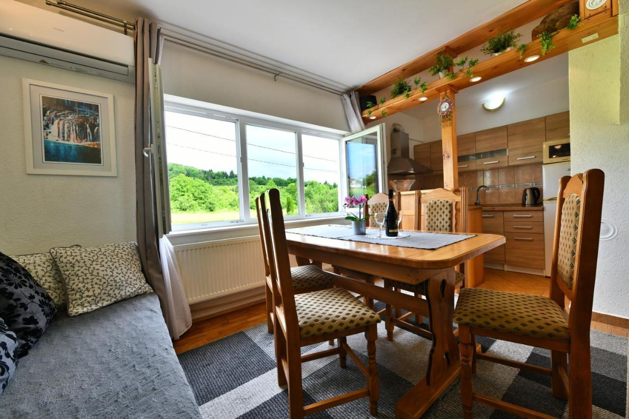 רקוביצה Apartment Marija Zupan מראה חיצוני תמונה