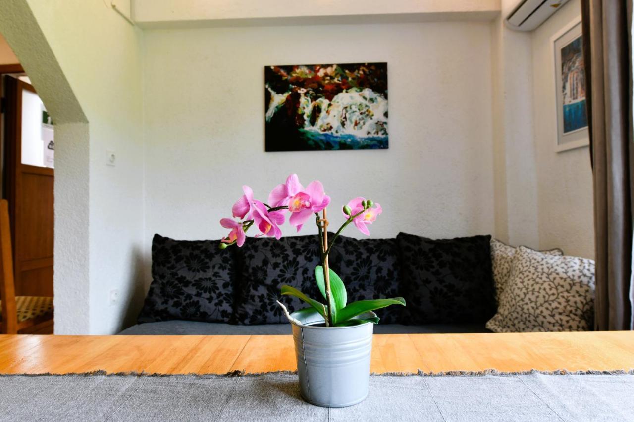רקוביצה Apartment Marija Zupan מראה חיצוני תמונה